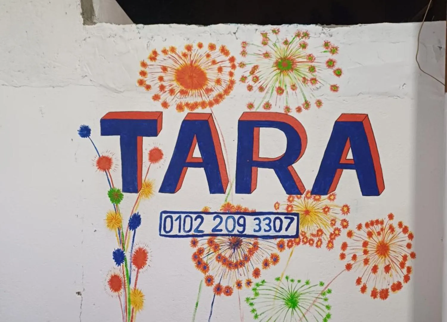 Tara Apartments Luxor